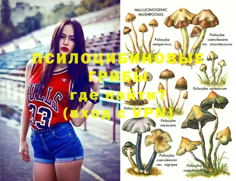 Псилоцибиновые грибы Magic Shrooms  Зеленокумск 